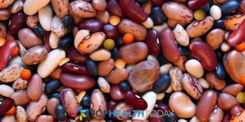 The Health Benefits of Beans and Legumes