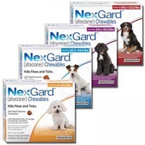 Nexgard chews